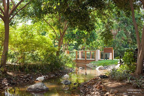 Загрузка ...