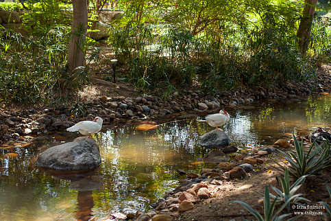 Загрузка ...