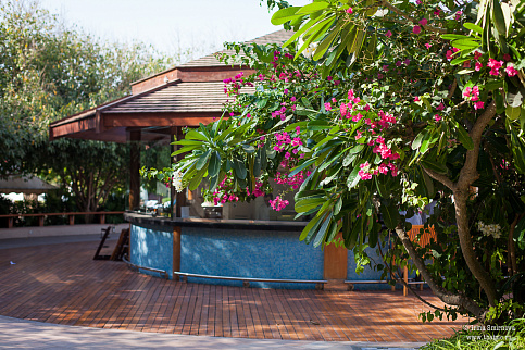 Загрузка ...