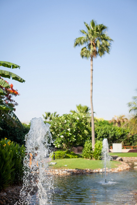 Загрузка ...