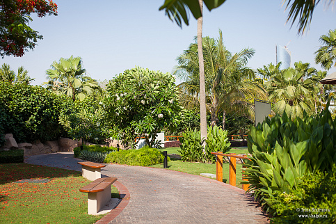 Загрузка ...