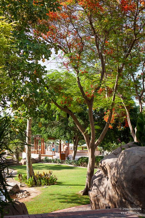 Загрузка ...