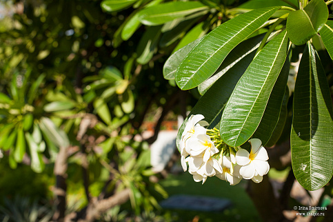 Загрузка ...