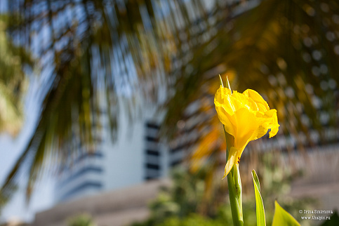 Загрузка ...