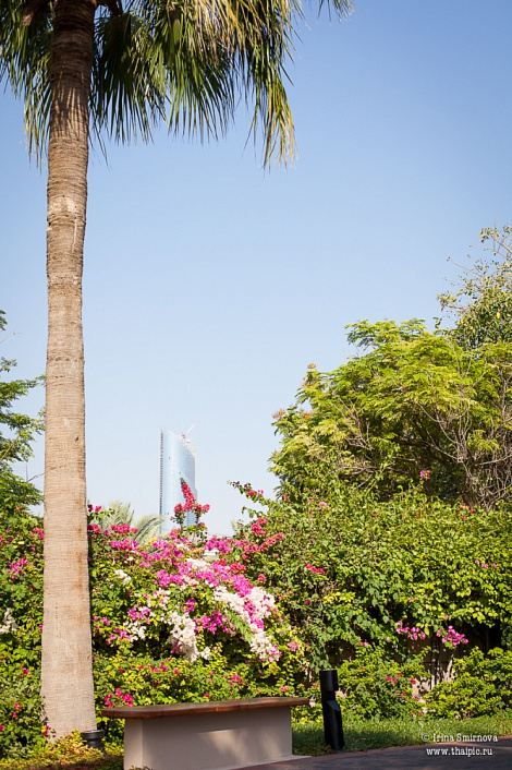 Загрузка ...