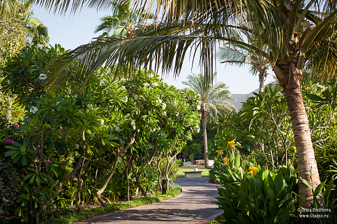 Загрузка ...