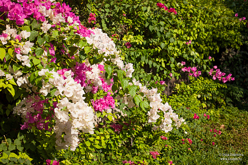 Загрузка ...