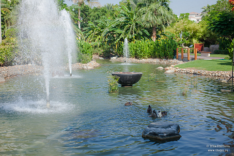 Загрузка ...