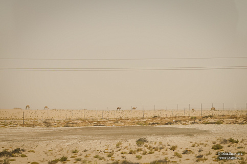 Загрузка ...