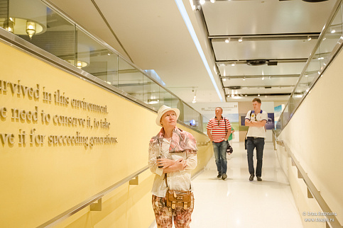 Загрузка ...