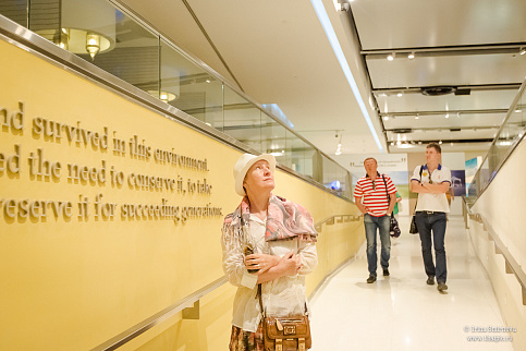 Загрузка ...