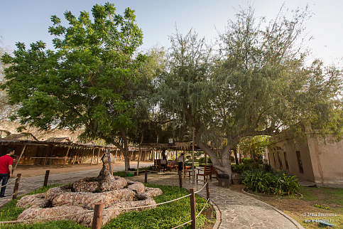 Загрузка ...