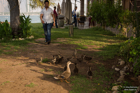 Загрузка ...