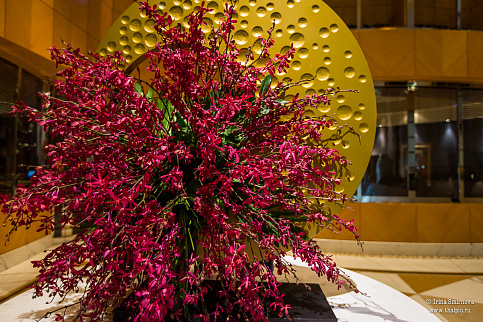 Загрузка ...