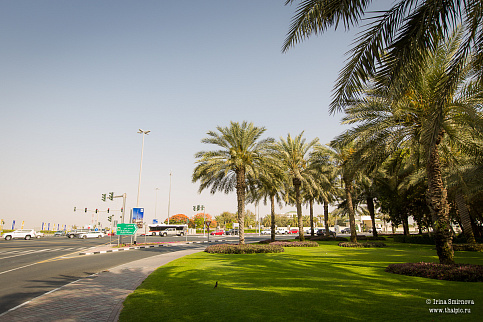 Загрузка ...