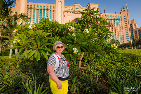 Загрузка ...