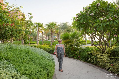 Загрузка ...