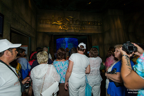 Загрузка ...