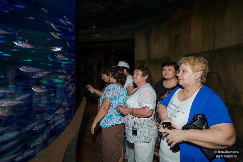 Загрузка ...