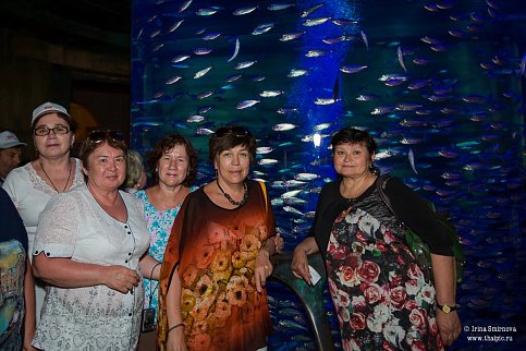 Загрузка ...