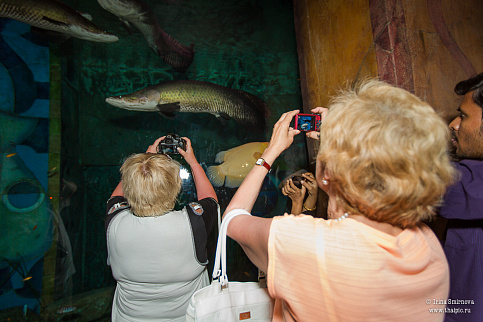 Загрузка ...