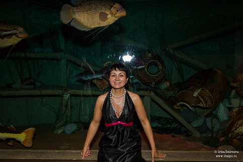 Загрузка ...