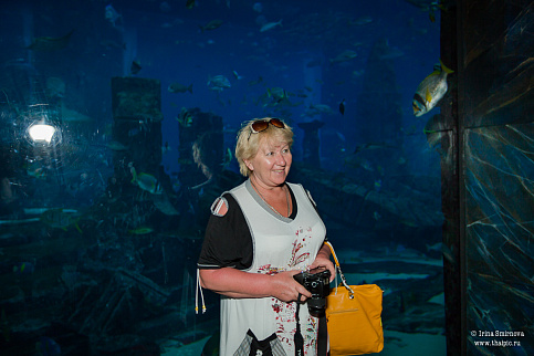 Загрузка ...