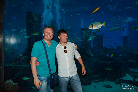 Загрузка ...