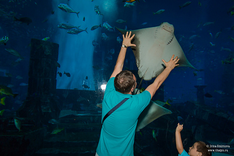 Загрузка ...