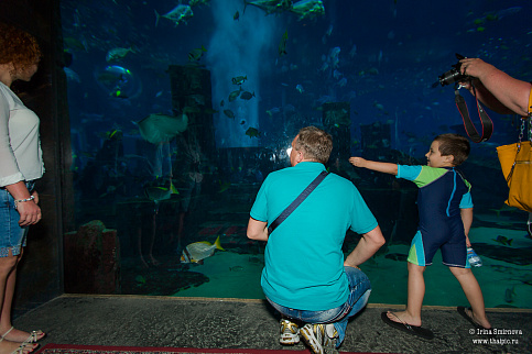 Загрузка ...