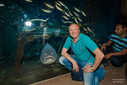 Загрузка ...