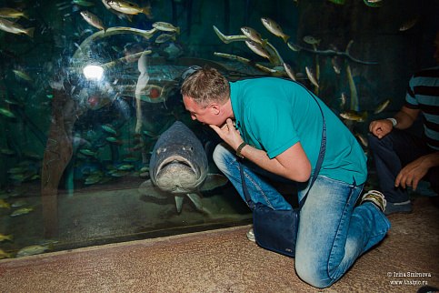 Загрузка ...