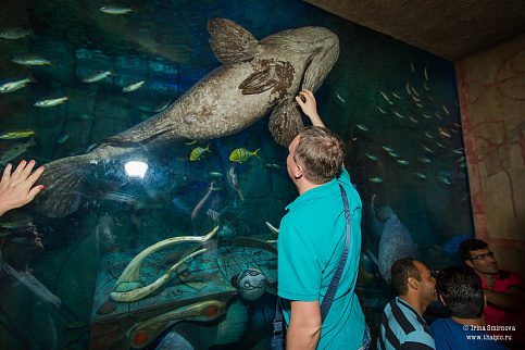 Загрузка ...