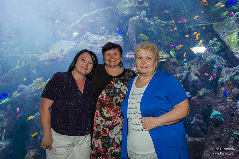 Загрузка ...