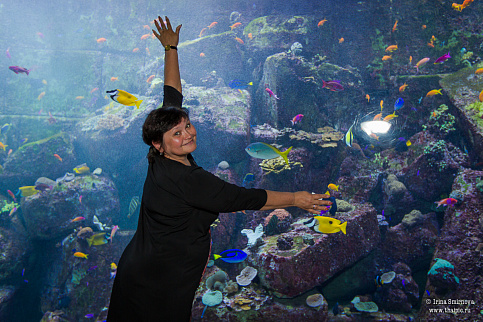 Загрузка ...