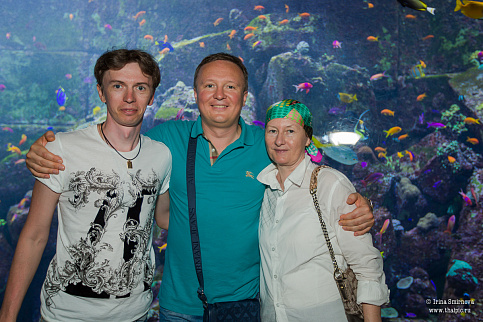 Загрузка ...