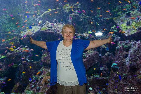 Загрузка ...