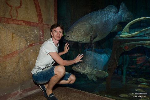 Загрузка ...