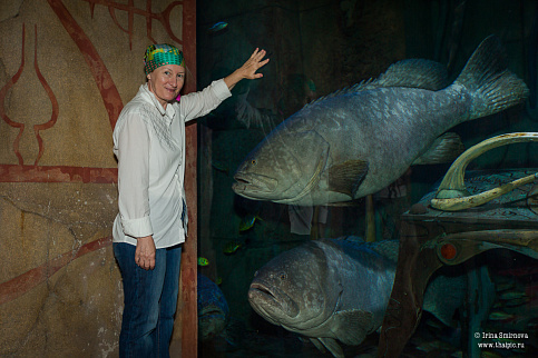 Загрузка ...