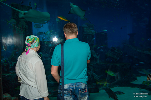 Загрузка ...