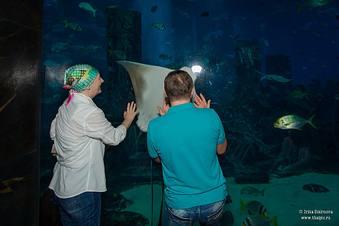 Загрузка ...