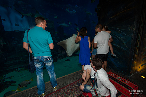 Загрузка ...