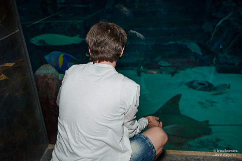 Загрузка ...