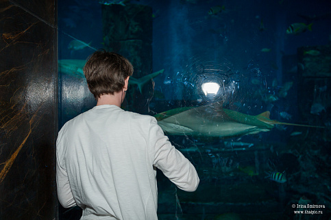 Загрузка ...