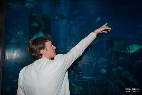 Загрузка ...