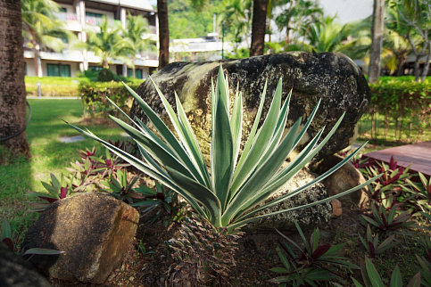 Загрузка ...