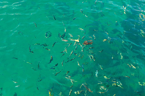 Загрузка ...