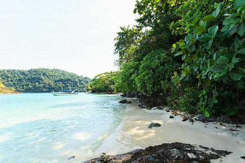 Загрузка ...