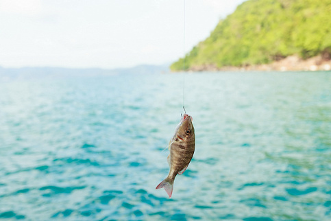 Загрузка ...