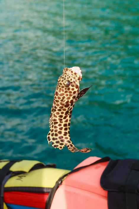 Загрузка ...